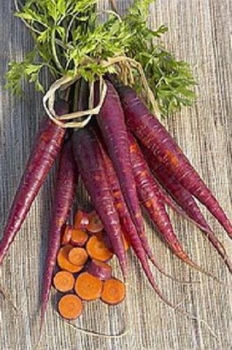 500 Semi di Zanahoria Morada Medio ortaggi Semi di Carota