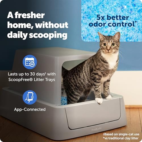PetSafe ScoopFree Crystal Smart Self-Cleaning — packaging and what arrives in the box