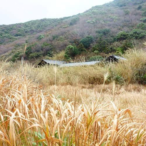 #10 カワウソに騙される 後編