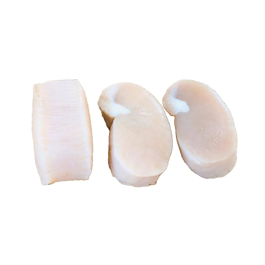 【貴重)ほら貝 61rOnN7+YkL._AC_SY200_QL15_.jpg