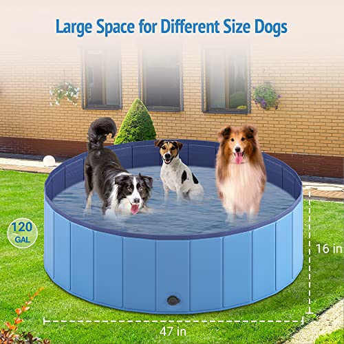Niubya Portable Dog Pool, Foldable Pet Swimming Pool, Anti-Slip Collapsible Pet Bathtub, Hard Plastic Bath Pool For Pets Dogs And Cats, 47 X 16 Inches #TOP1