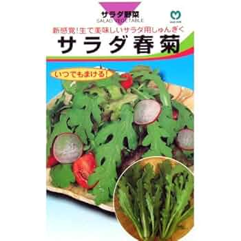 もっちもちさま専用　春菊しーく 春菊 種 【 お多福新菊 】 種子 小袋（約25ml） | 農業屋.com