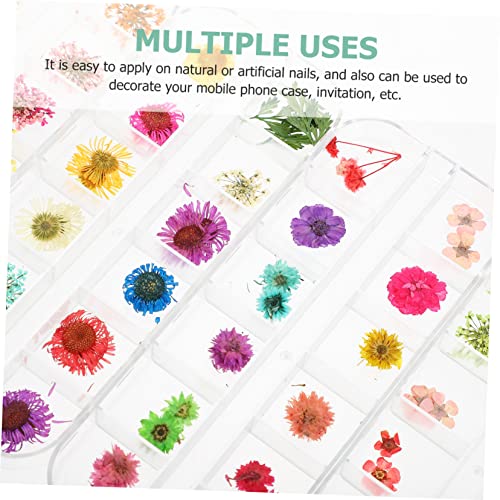 Hemoton 4 Caixas De Secas Manicure Charme Flores Secas Flores De DIY Flor De Flores Secas DIY Decora