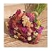 Flower Achillea Yarrow Colorado Mix D3878A (Multi Color) 100 Organic Seeds by David's Garden Seeds