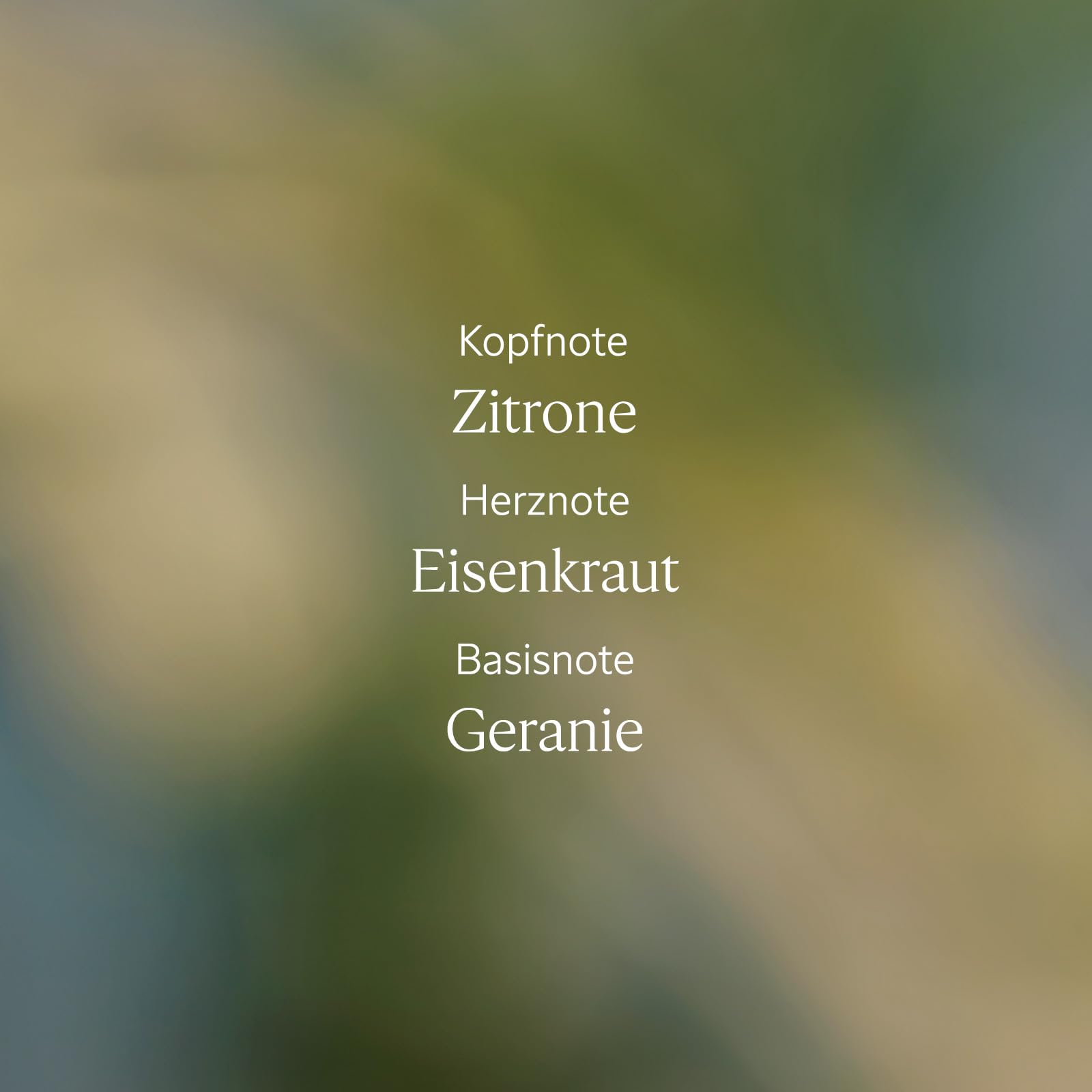 L'OCCITANE - Eau de Toilette Verveine (Verbene) - 75 ml | Spritzige und erfrischende Noten - Akkorde aus Zitrone, Verveine und Geranie - Made in France