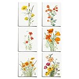 Vintage California Poppy Floral Prints (6 PRINTS) | Modern Wall Art Victorian Illustration UNFRAMED