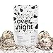 Oats Overnight Cookies & Cream - Overnight Oats with 20g Whey Protein, High Fiber Breakfast Protein Shake - Gluten Free Oatmeal, Non GMO High Protein Oatmeal (2.7 oz per Meal) (8 Pack)