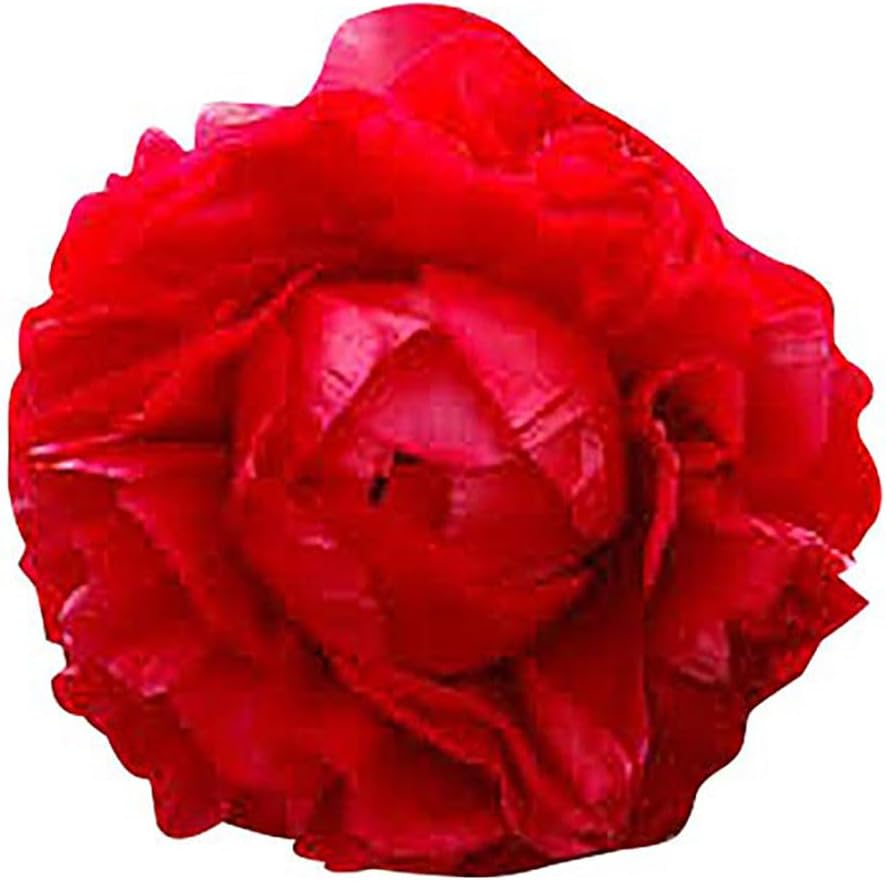 First Out - Early Double Dark Red Peony, Bare Root 3-5 Eyes, Peony Bulbs for Planting, Live Peonies Plants, Fernleaf Peony, Peony Plants Ready to Plant, Tree Peony Bulbs for Spring Planting 2025