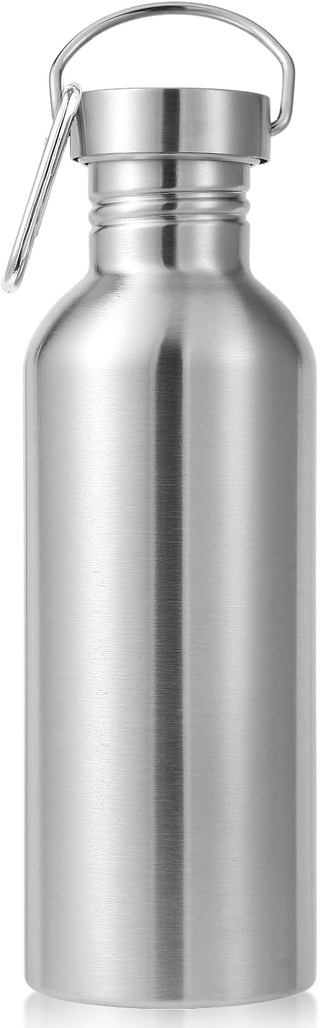 Neihepal 32oz Non-Insulated Single Walled Water Bottle, Stainless Steel Water Bottles with Handle & Carabiner, BPA-Free Durable Metal Flask - Satin Stainless
