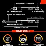 Zoom IMG-2 frankberg 2x molle a gas Zoom IMG-2 frankberg 2x molle a gas