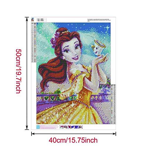 Amazon.com: DIY 5D Diamond Art Arts for Adults, Princess Belle