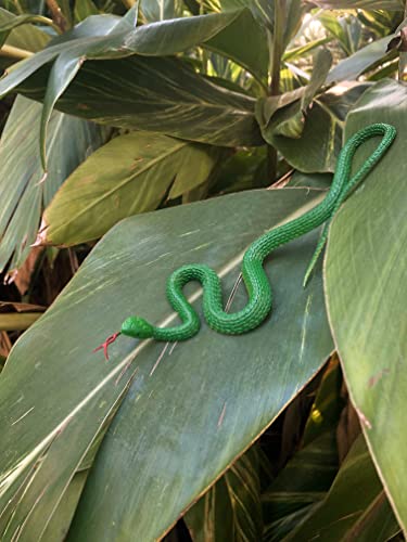 Hohajiu Fake Snake Toy Rubber Realistic Snake Toy 10 Pcs Lifelike Snake Toy Gag Gift For Halloween, April Fool’s Day Party Decroation #TOP3