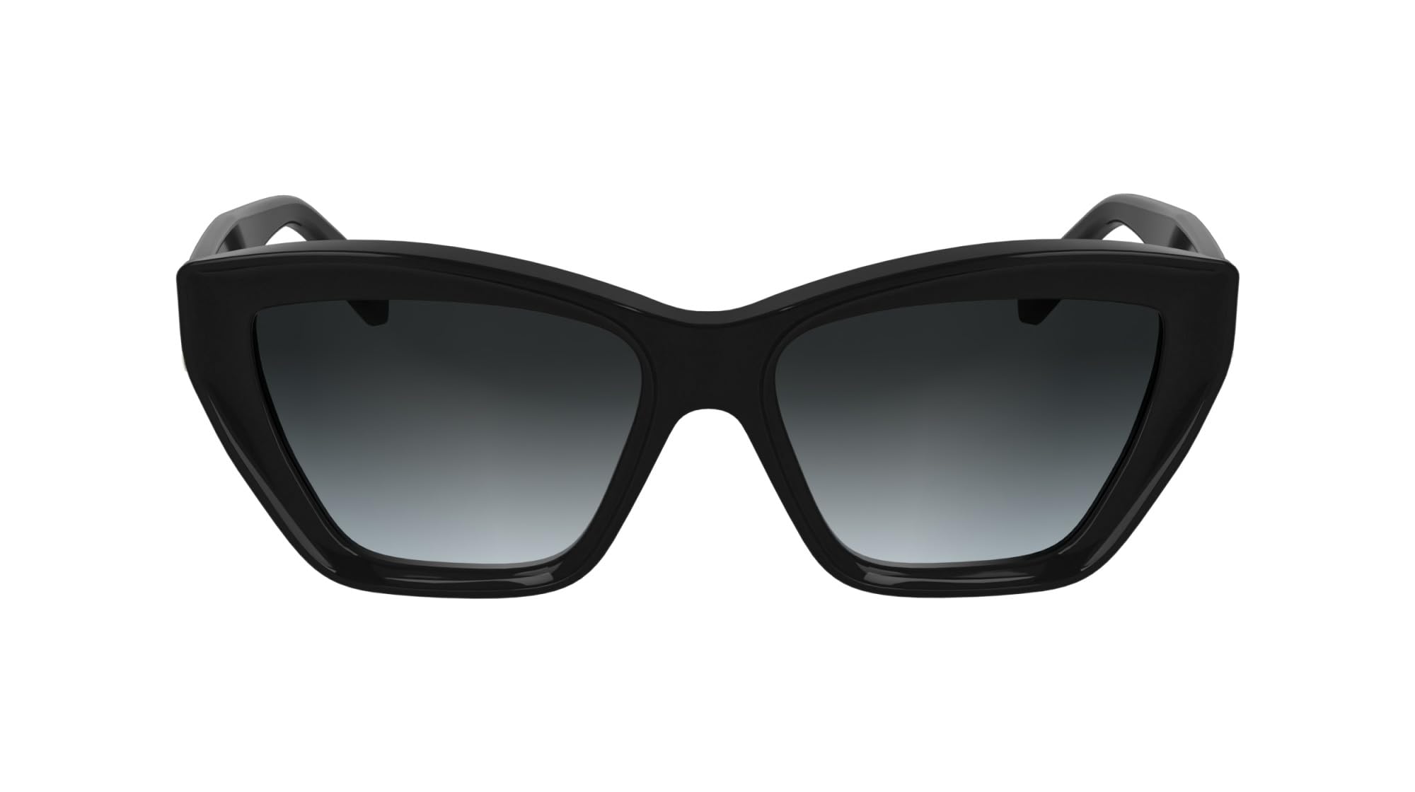 KARL LAGERFELD Women's Sunglasses KL6179S/N - Black with Gradient Grey Lens