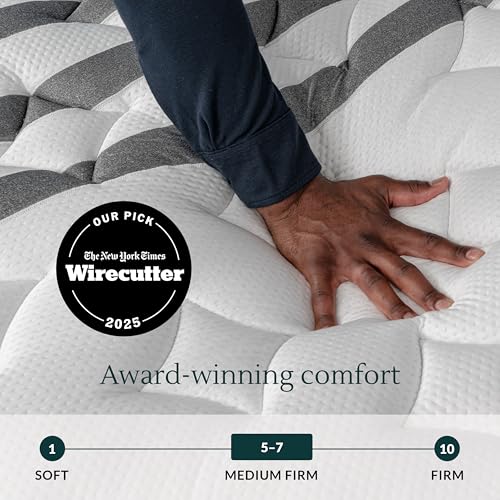Image of Leesa Legend Chill, Queen Size /CertiPUR-US Certified Foam /with Organic Cotton Mattress Cover / 120-Night Trial,White