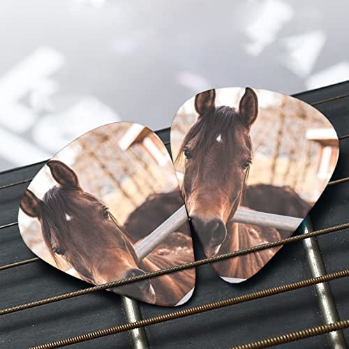 Ensemble de 12 médiators de guitare Brown Horses pour guitare acoustique, guitare électrique, contrebasse, ukulélé - Les Beatles, Paul McCartney, John Lennon, RIngo Starr, George Harrison Ensemble de 12 médiators de guitare Brown Horses pour guitare acoustique, guitare électrique, contrebasse, ukulélé – Image 8