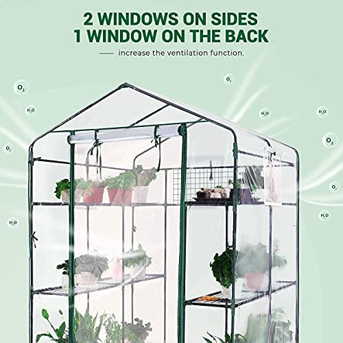 Quictent Greenhouse Screen Door And Windows, 3 Tiers 6 Shelves 56"X56"X77", Walk-In Planting Garden Greenhouse For Winter Indoor Outdoor, 50 Plant Name Tags, 10 Stakes & 4 Ropes, Clear Pvc Cover #TOP3
