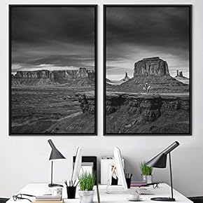 signwin 2 Piece Framed Canvas Wall Art Monochromatic...
