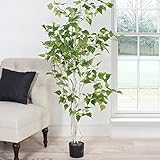 Pure Garden Birch Artificial Tree-60-Inch Potted Faux Plant with Natural Looking Leaves for Office or Home Décor, 5 Ft, Green