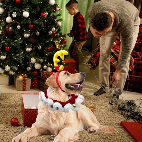Disfraz Navideño para Perros 2 Piezas Set Reno y Collar miniatura 6