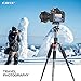 CAVIX 50cm/19.6in Desktop Mini Tripod with 360° Panoramic Ball Head & 1/4