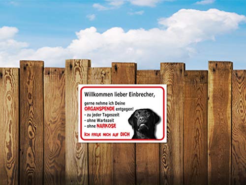 AdriLeo Schild - Vorsicht schwarzer Labrador Retriever - Willkommen lieber Einbrecher - (20x30cm) / Achtung Hund Wachhund robust langlebig UV-beständig wetterfestes Warnschild
