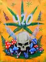 貴重　ウィード　キャンバスボード 511zriFEOOL._AC_SY200_QL15_.jpg