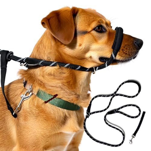 Pet Figure of 8 Dog Lead - Flat Anti Pull Stop Dogs Pulling – Field Slip Leads with Padded Nose Support for Medium, Large Dogs(200cm)