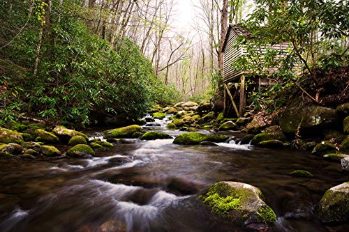 Great Smoky Mountains National Park Photo Set, Gatlinburg Photography Print Set, Tennessee Wall Art Home Decor, 5X7 To 16X24 #TOP2
