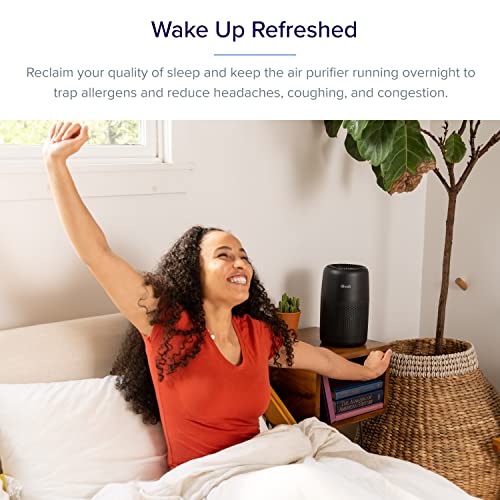Image of LEVOIT Air Purifiers and Replacement Filters for Better Indoor Air Quality