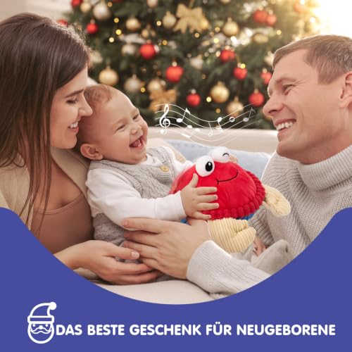 hahaland Krabbe Baby Spielzeug 6–12 Monate, Musikalisches Krabbelspielzeug
