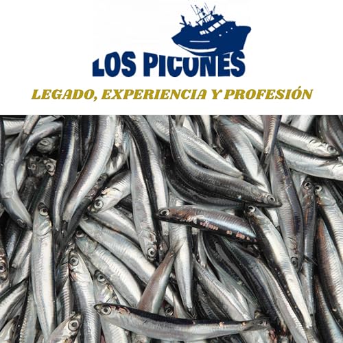 Miniatura 8 de Anchoas Revilla Anchoas De Santoña En Mantequilla Ecológica I Pack 5 Octavillas 50gr. 8-10 Lomos 250gr. 40-50 Lomos Anchoas Del Cantábrico Gourmet I Conservas Y Salazones Gourmet.