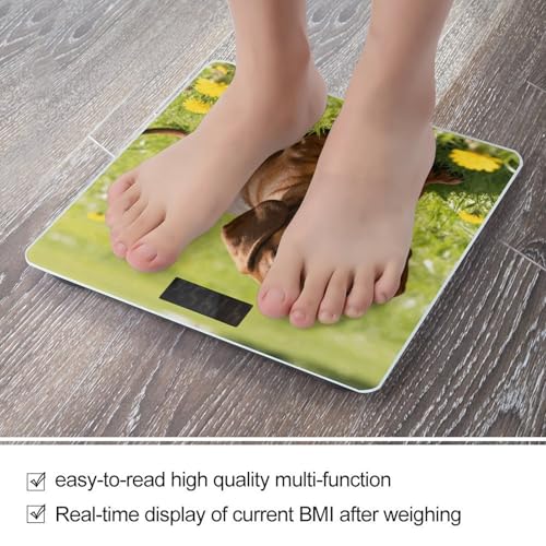 Báscula digital para baño Cute Dachshund con pantalla LCD miniatura 5