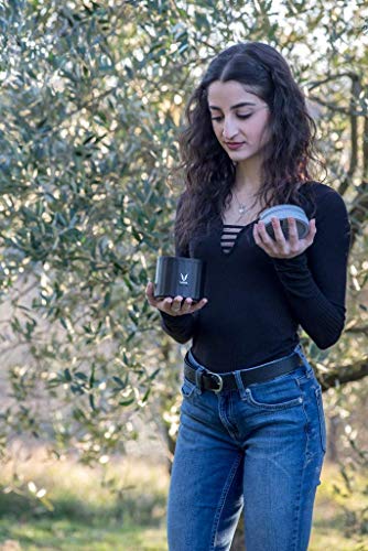 Image of VAYA PRESERVE Vacuum Insulated Lunch Box for Kids, Office Women, 260 ml Stainless Steel Tiffin Box, Meal Container, Meal Jar, Suitable for One Pot Meal,Black