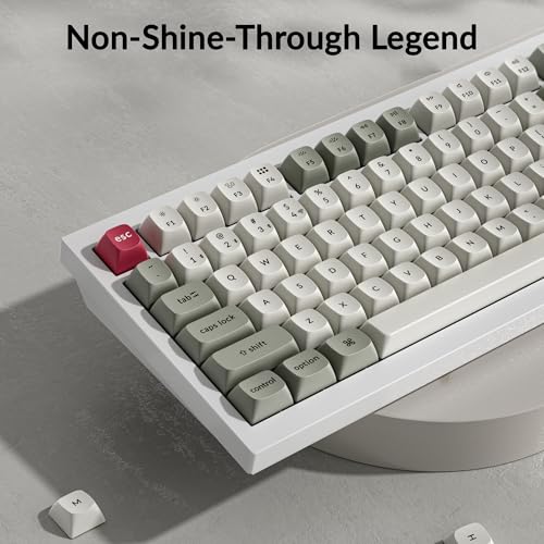 Image of Keychron OSA Profile Double-Shot PBT Keycap Full Keycap Set (141 Keys) - Retro, Compatible with MX Mechanical Switches, Non-Shine-Through, Fits ANSI Layouts (100%, TKL, 96%, 75%, 65%, 60%)