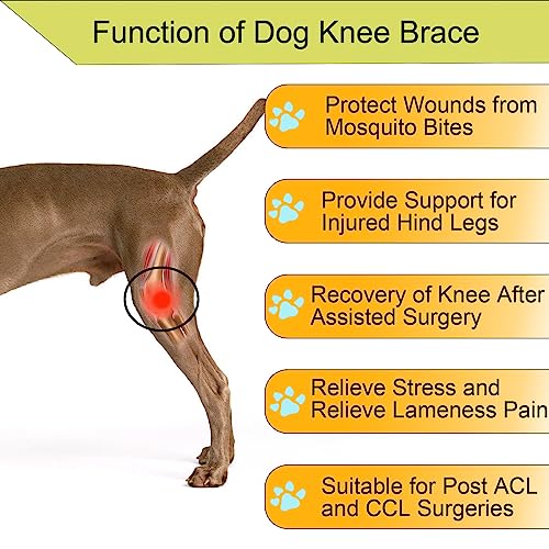 Image of Dog Leg Support - for Leg Wounds After Surgery for Ligament Tears, with Support Strips to Protect The Dog's Leg Wounds. Breathable and Comfortable（M）