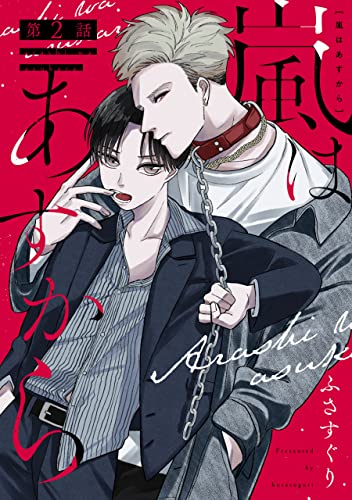 嵐はあすから(2) (ハッカプラス)