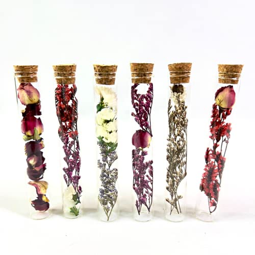6 Bottles of dried flowers in glass tube with cork lid