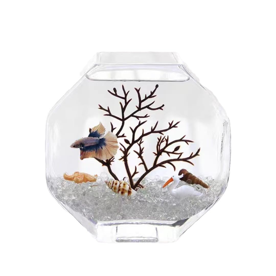 Amazon | 金魚鉢 水槽 小シンク 六角形 おしゃれ ガラス 苔テラリウム 