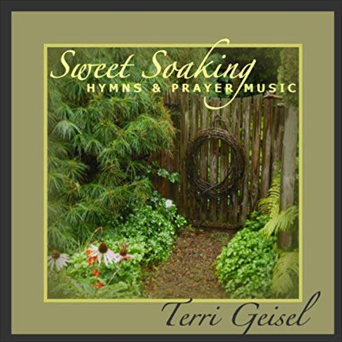 Terry Geisel Play Sweet Soaking Hymns and Prayer Music (Instrumental) by Terri ...