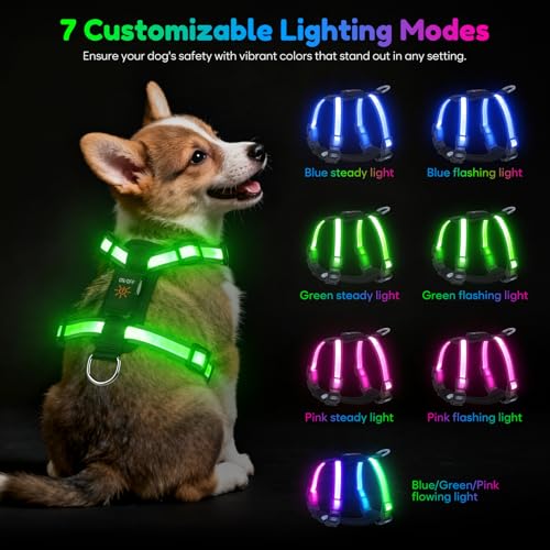 Mehrfarbiges LED Hundegeschirr für Kleine Hunde, USB-C Wiederaufladbar mit Batterieanzeige, Leuchtendes Reflektierendes Hundegeschirr, Verstellbares Anti-Zug Geschirr für Nachtsicherheit