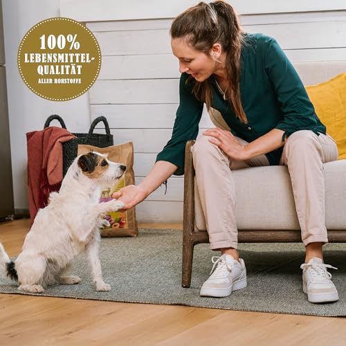 Terra Canis Sensations Chewy Champs - Pferdefleisch 100g I Natürliche, getrocknete Kauartikel I Beschäftigung durch Kauen | Ergänzungsfuttermittel für Hunde