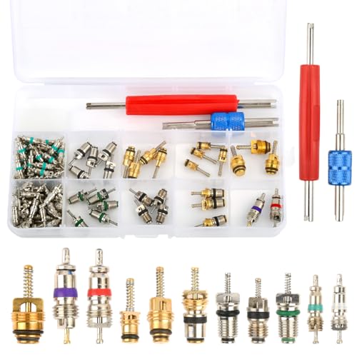 OctBird Kit Válvula Aire Acondicionado Coche, 102Pzs Núcleo de Valvula Aire Acondicionado R134a R12 Kit Cambiar Valvula Aire Acondicionado de Coche con Herramienta de Extracción y Caja