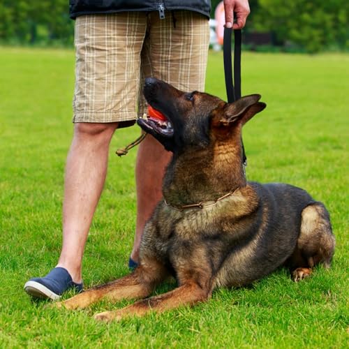 Dog on Leather Short Leash