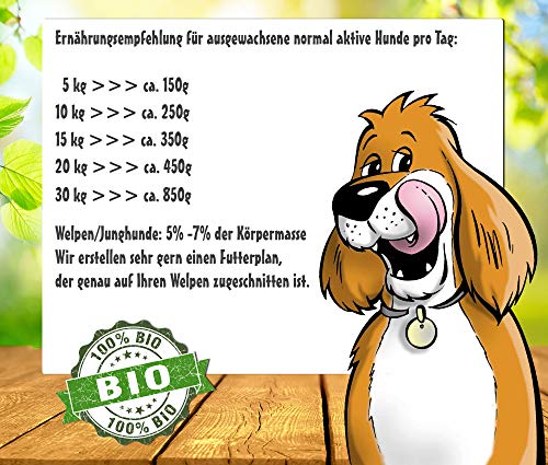 Pfotenliebe Bio Hundefutter Nassfutter mit Qualitätsgarantie, Bio-Putenschlemmer mit Zucchini, Natürlich ohne Chemie, Machen Sie Ihren Hund glücklich!, 6x200g