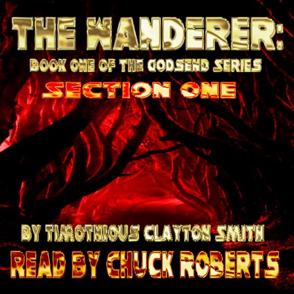 Cover art for The Wanderer: The Godsend Series, Book 1