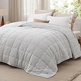 Bedsure Down Alternative Blanket - Lightweight Cozy Warm Queen Size Bed Blanket for All Seasons, Light Grey, 90x90 Inches