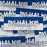 Fan-Kultur Xperience