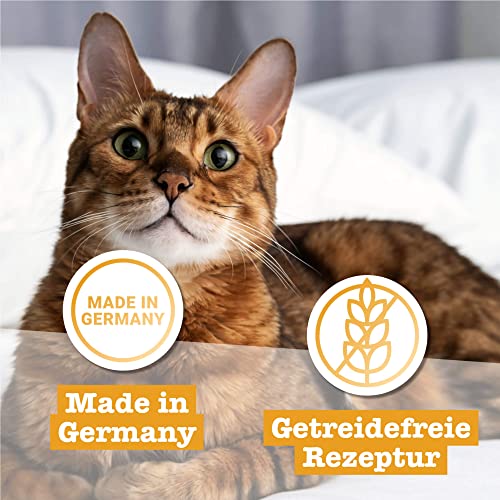 catz finefood N° 7 Rind & Kalb Feinkost Katzenfutter nass, verfeinert mit Aprikose & Ananas, 6 x 200g Dosen