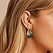 KELORIS PATH Acrylic Hoop Earrings for Women, 14K Gold Plated Resin Hoops, Translucent Hypoallergenic Fashion Vintage Jewelry Gifts(style 4)