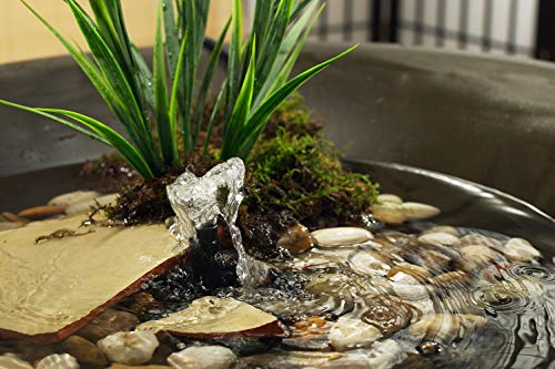 Beckett Corporation Cgfk60 Submersible Pump And Container Kit Ideal For Mini Fountains, Water Gardens, And Bird Baths, Black #TOP2